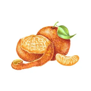 نارنگی خشک، طعمی دلپذیر از طبیعت